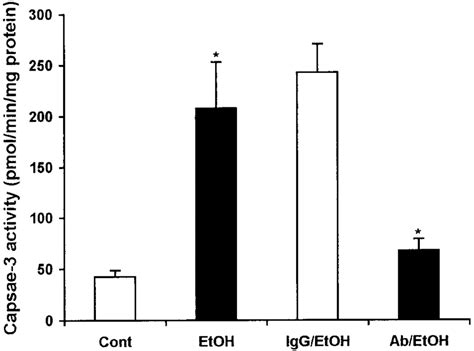 Suppression of caspase-3 activity by systemic administration of a ...