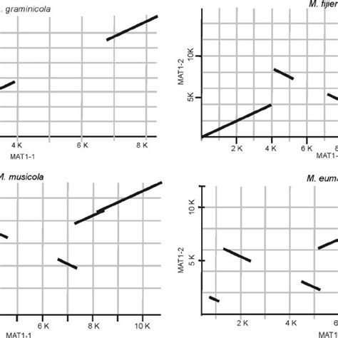 Pairwise Comparison Of Mating Type Loci Of Mycosphaerella Graminicola