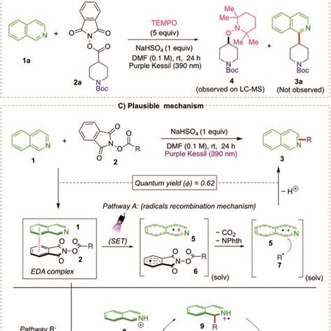 A Chromatogram Of Uv Vis Absorption Study B Tempo Radical Trapping