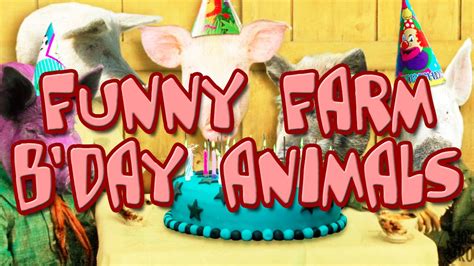 Happy Birthday Animals Funny Farm Youtube