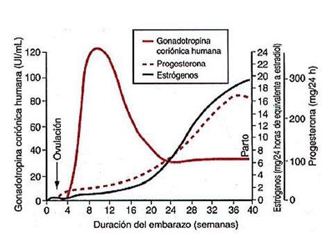 En El Siguiente Cuadro Se Observan Los Niveles De Hormonas En El Hot Sex Picture