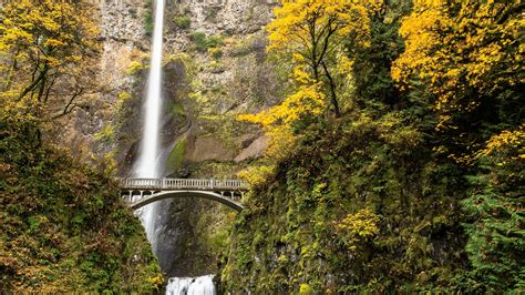 Honoring The Lives Of Local Residents By Reading The Latest Portland Oregon Obituaries And Memorial Service Announcements Today