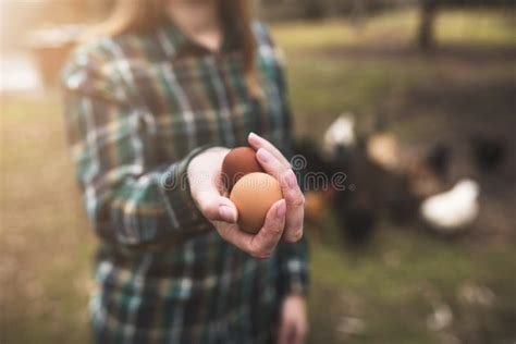 Woman`s Hands Holding A Chicken Eggs Against Of Small Garden With