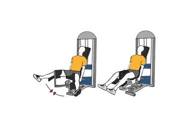 Seated Hip Adduction Machine Exercises Workouts And Routines