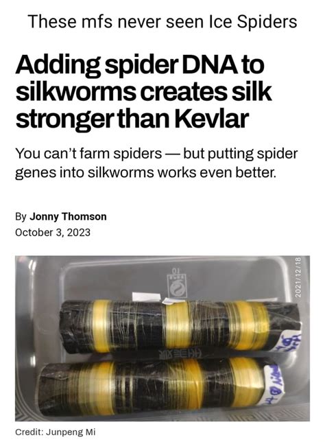 These Mfs Never Seen Ice Spiders Adding Spider Dna To Silkworms Creates