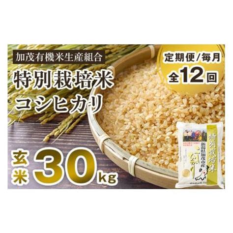 ふるさと納税 新潟県 加茂市 【2024年先行予約】【令和6年産新米】【定期便12ヶ月毎月お届け】新潟県加茂市産 特別栽培米コシヒカリ 玄米