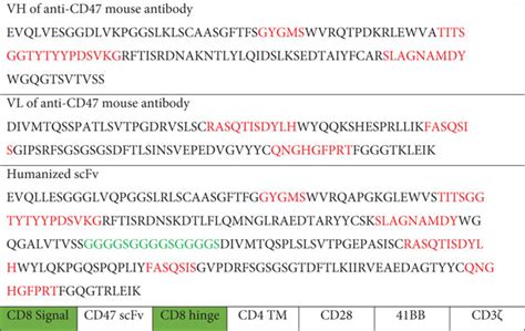 Amino Acid Sequence VH VL Of B6H12 Mouse Antibody Anti CD47 Humanized