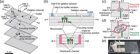 Schematic Image Of The Microfluidic Device A Four Pmma Layers