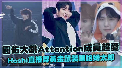 【seventeen】圓佑跳newjeans《attention》成員愛瘋 S Coups羞跳after Like Hoshi扮黃金鼠唱哈姆太郎超q Youtube