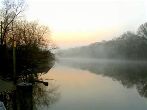 Tar River Greenville Nc Lisa Moore Flickr