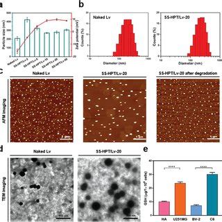 A Representative Fluorescence Images And B Quantitative Facs Analysis