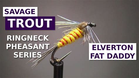 Fly Tying The Elverton Fat Daddy Nymph Ringneck Pheasant Fly Pattern