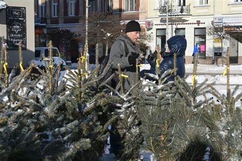 Energetyczne Drzewko W Kielcach Mieszka Cy Brali Udzia W Quizie I