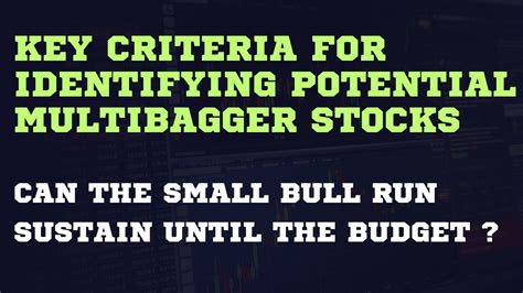 Stock Picking Strategies For Potential Multibagger Stock List Can The