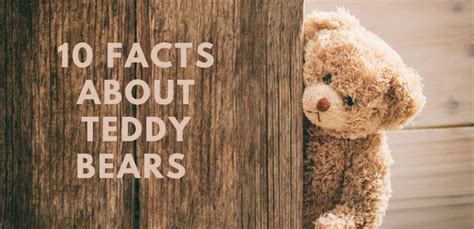 10 Facts About Teddy Bears Alwaysplushie Update 2023