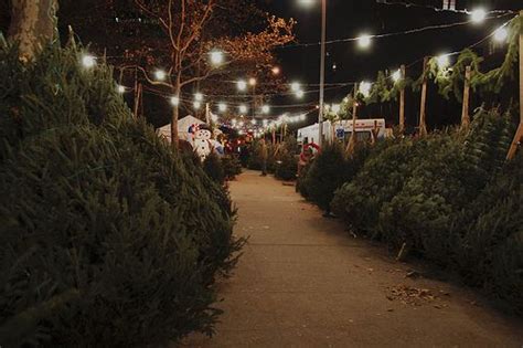 Christmas Tree Lot Ny Christmas Tree Lots Christmas Tree Farm