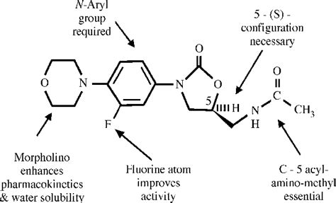 [PDF] Linezolid in vitro: mechanism and antibacterial spectrum. | Semantic Scholar