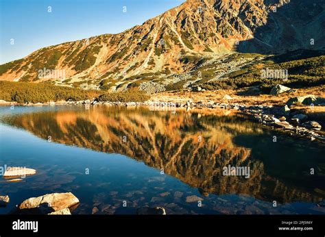 Magnifique paysage de montagne d été Pentes de montagne se reflétant