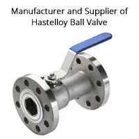 Hastelloy Ball Valves Hastelloy Valves Non Return Check Valve Gujarat