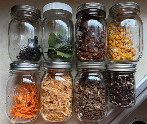 Making Your Own Dehydrated Backpacking Meals – Wandering Pine