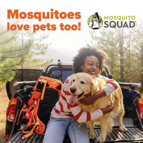 Mosquito Squad - Home