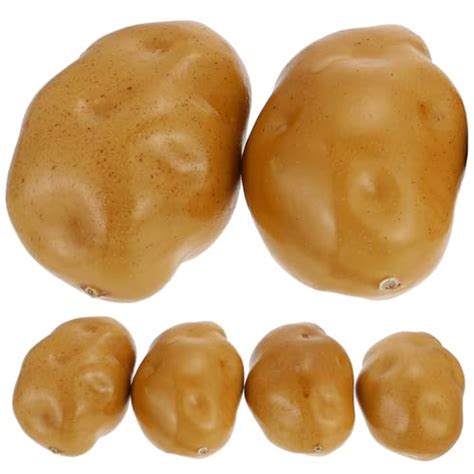 anatomy  role  potato roots  stems  potatoes roots  stems