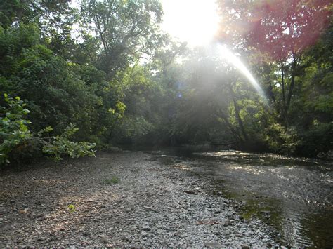 Kayaking Cypress Creek Florence Alabama 6 2 11 Kayaking Country