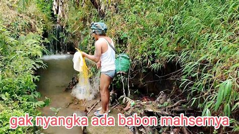 Jala Ikan Di Sungai Kecil Wangan Mantap Hasilnya Youtube