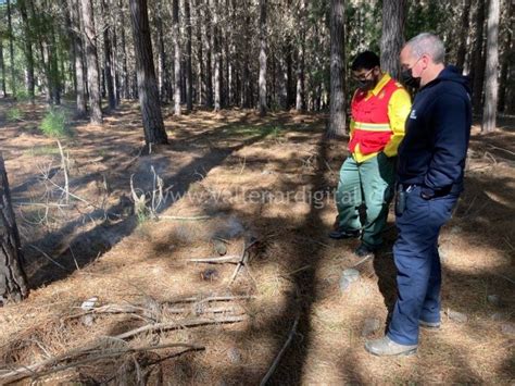 Chile Avanza En El Uso Del Fuego Técnico Para La Lucha Contra Los