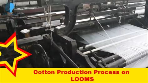 Cotton Fabric Manufacturing Process Warp And Weft Cotton Production