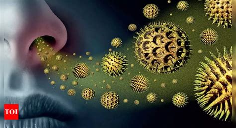 pollen allergies spring  beautiful   start sneezing delhi