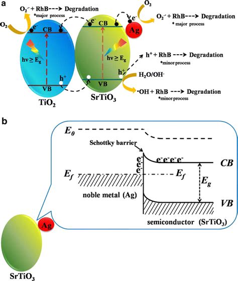 A Schematic Diagram For The Proposed Photocatalytic Mechanism Of