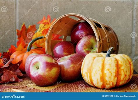 Autumn Apples Royalty Free Stock Photos - Image: 3352158