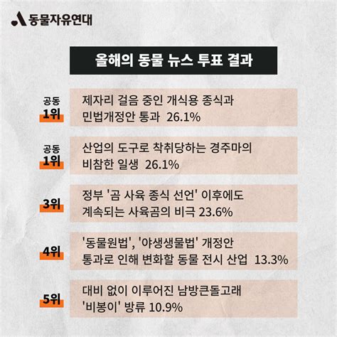 동물자유연대 동물자유연대x한국일보 2022년 가장 인상깊은 동물 뉴스는