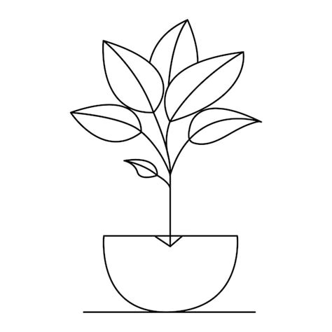 Dessin Continu D Une Ligne D Une Plante Domestique Dans Une