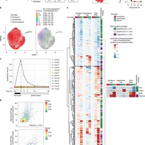 Massively Parallel And Time Resolved Rna Sequencing In Single Cells With Scnt Seq Request Pdf