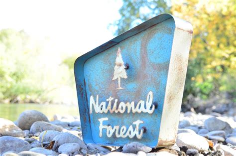 Stacked National Forest Sign Fosterweld