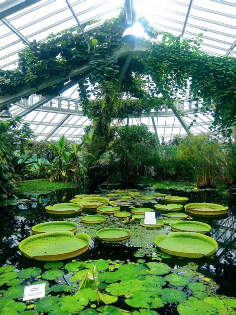 Op Wereldreis In De Plantentuin Van Meise Wandelen In Belgie