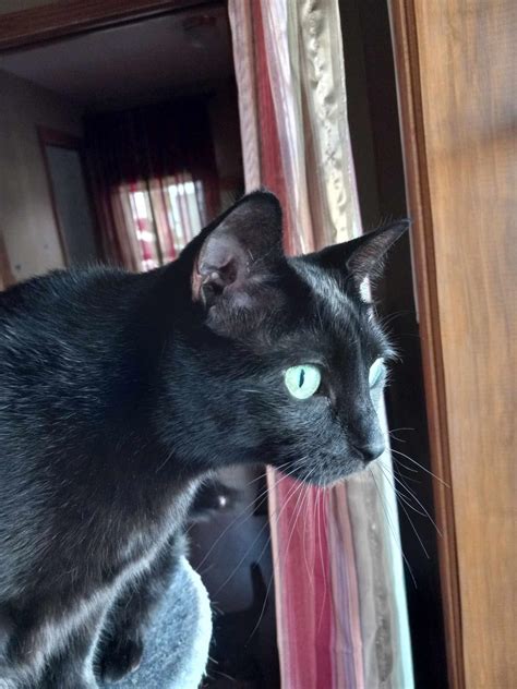 Eisenberg Actor's Weirdest Fan Encounter Is Totally CREEPY!