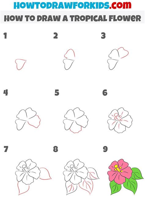 Hawaii Flowers Drawing Hibiscus Flower Drawing Easy Flower Drawings