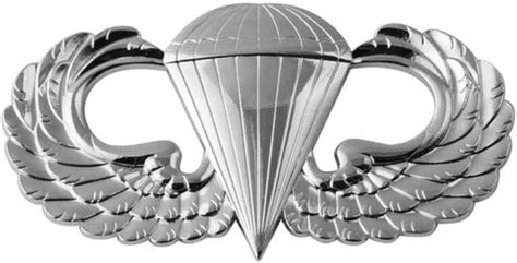 The Airborne Wings Badge