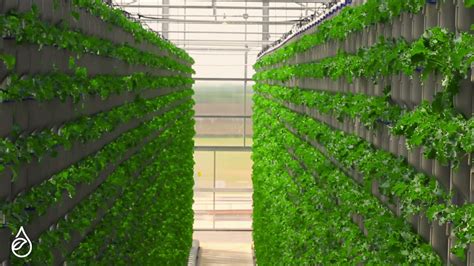 Eden Green Technology Smart Vertical Greenhouse Sustainable Agtech