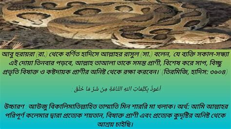 আউজ বকলমতললহত তমমত মন শরর ম খলক Auzu bikalimatillahi