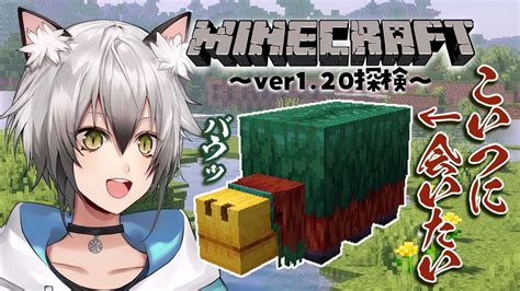 【minecraft】スニッファーとやらを探しにいく【猫瀬乃しんのりプロ所属】 Youtube