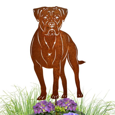 Rostfigur Hund Cane Corso H He Cm Mit Spie H He Cm Mit Spie