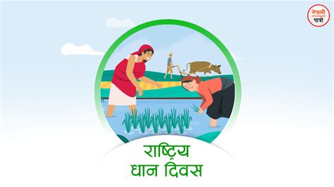 राष्ट्रिय धान दिवस असार १५ नेपाली पात्रो Nepali Patro