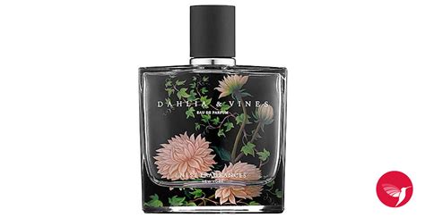 Dahlia Vines Nest Perfume A Fragr Ncia Feminino