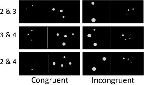 Example For Congruent And Incongruent Trials Download Scientific Diagram