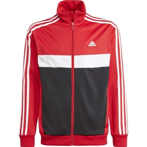 Adidas 3S TIBERIO TS Sportisimo