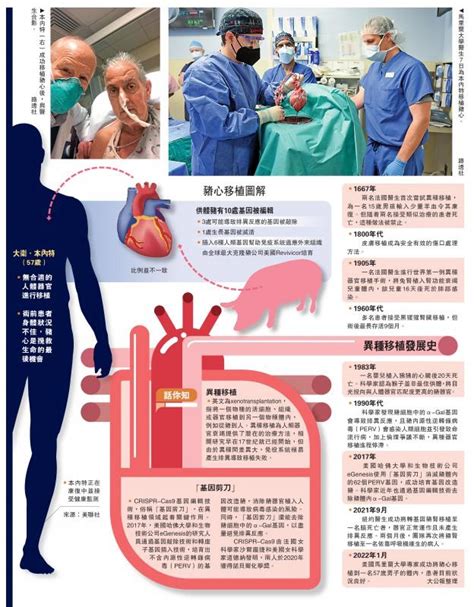 未来可期全球首例 基因改造猪心移植人体器官本内特心脏新浪新闻